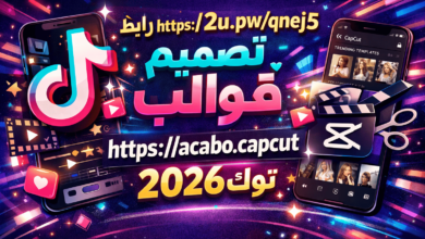 تنزيل تطبيق botim مجاني للايفون 2026 مكالمات الفيديو والصوت المجانية